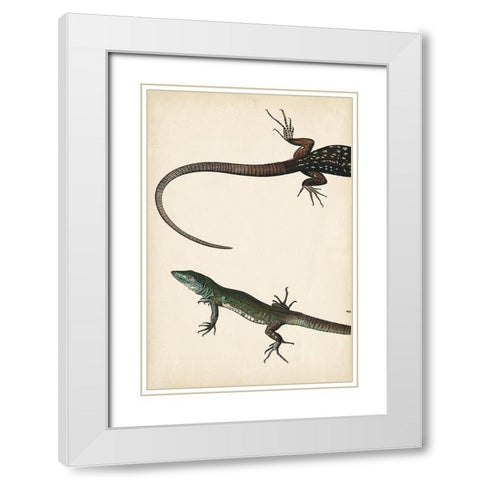 Lizard Diptych I White Modern Wood Framed Art Print with Double Matting by Vision Studio