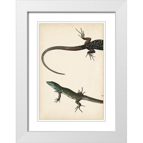 Lizard Diptych I White Modern Wood Framed Art Print with Double Matting by Vision Studio