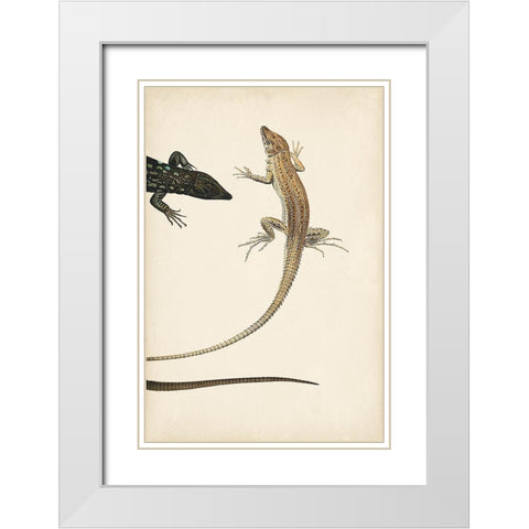 Lizard Diptych II White Modern Wood Framed Art Print with Double Matting by Vision Studio