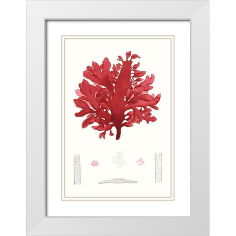 Striking Seaweed I White Modern Wood Framed Art Print with Double Matting by Vision Studio