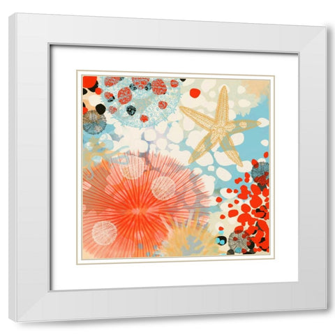 Exotic Sea Life II White Modern Wood Framed Art Print with Double Matting by Orlov, Irena