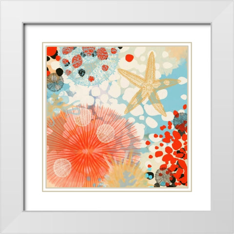 Exotic Sea Life II White Modern Wood Framed Art Print with Double Matting by Orlov, Irena
