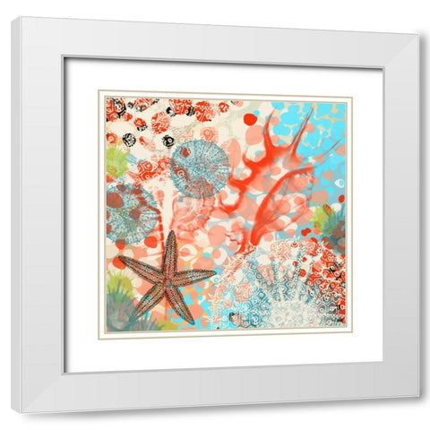 Exotic Sea Life V White Modern Wood Framed Art Print with Double Matting by Orlov, Irena