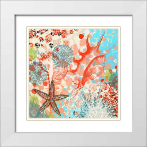 Exotic Sea Life V White Modern Wood Framed Art Print with Double Matting by Orlov, Irena