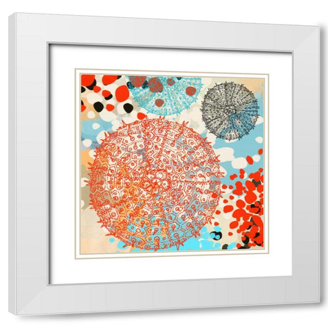 Exotic Sea Life VI White Modern Wood Framed Art Print with Double Matting by Orlov, Irena