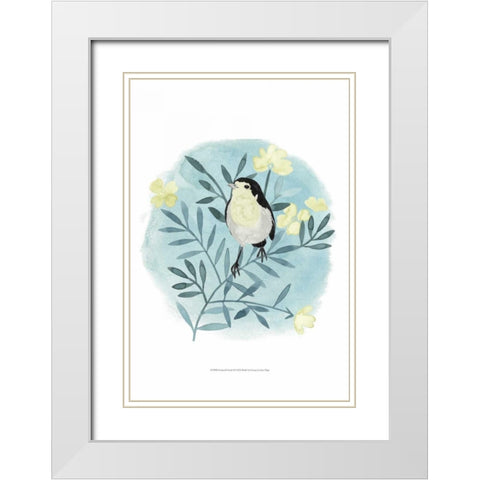 Feathered Friends II White Modern Wood Framed Art Print with Double Matting by Popp, Grace