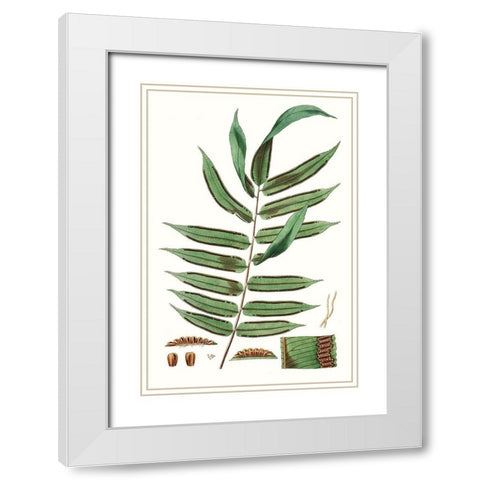 Fern Foliage I White Modern Wood Framed Art Print with Double Matting by Vision Studio