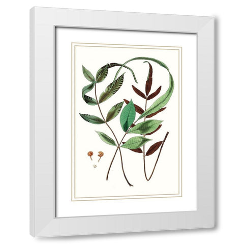 Fern Foliage II White Modern Wood Framed Art Print with Double Matting by Vision Studio