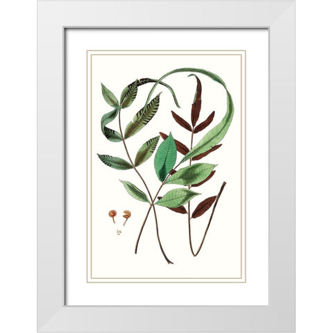 Fern Foliage II White Modern Wood Framed Art Print with Double Matting by Vision Studio