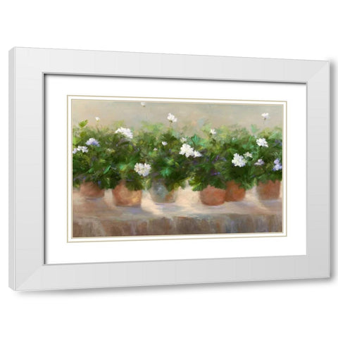 White Geraniums White Modern Wood Framed Art Print with Double Matting by Finch, Sheila