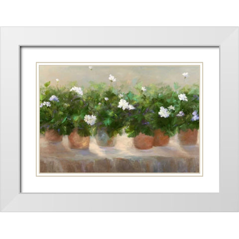 White Geraniums White Modern Wood Framed Art Print with Double Matting by Finch, Sheila