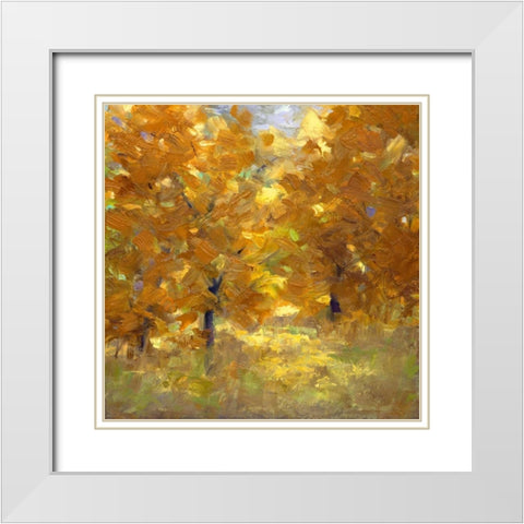 Cottonwoods White Modern Wood Framed Art Print with Double Matting by Finch, Sheila