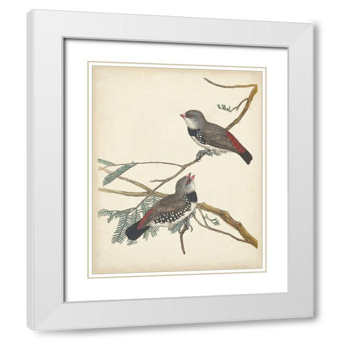 Graceful Birds I White Modern Wood Framed Art Print with Double Matting by Vision Studio