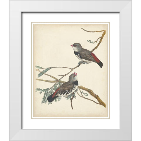 Graceful Birds I White Modern Wood Framed Art Print with Double Matting by Vision Studio