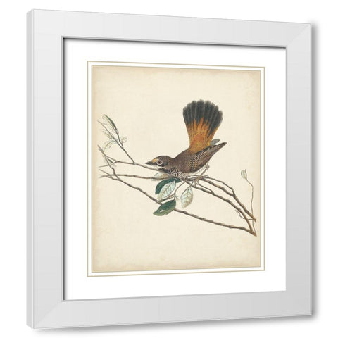 Graceful Birds II White Modern Wood Framed Art Print with Double Matting by Vision Studio
