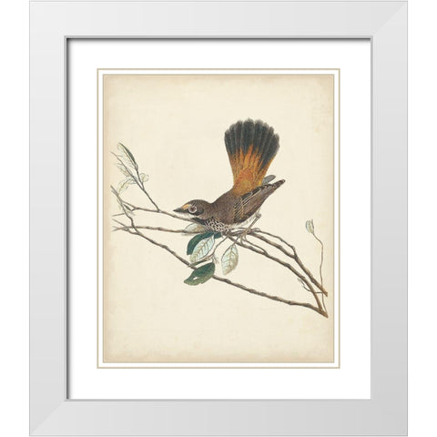 Graceful Birds II White Modern Wood Framed Art Print with Double Matting by Vision Studio