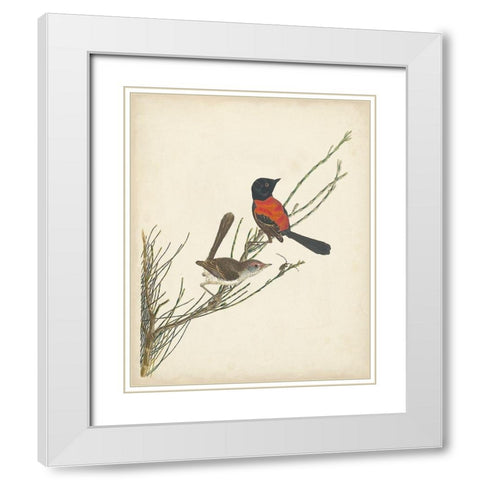 Graceful Birds III White Modern Wood Framed Art Print with Double Matting by Vision Studio