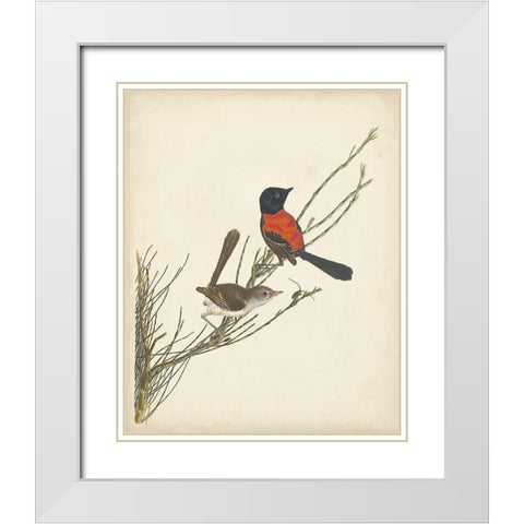 Graceful Birds III White Modern Wood Framed Art Print with Double Matting by Vision Studio