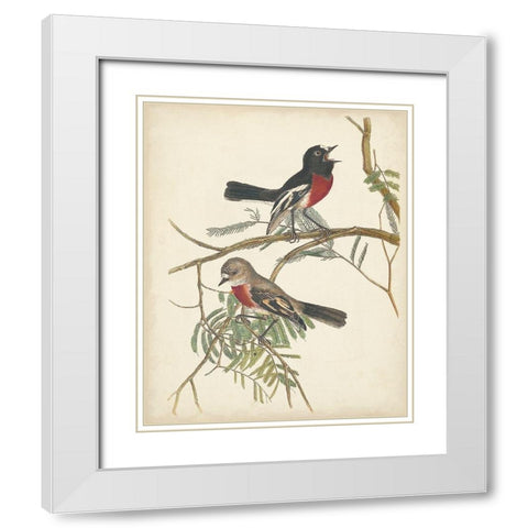 Graceful Birds IV White Modern Wood Framed Art Print with Double Matting by Vision Studio