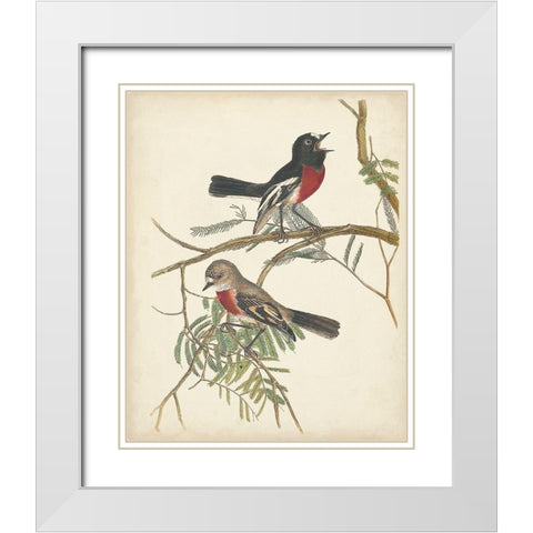 Graceful Birds IV White Modern Wood Framed Art Print with Double Matting by Vision Studio