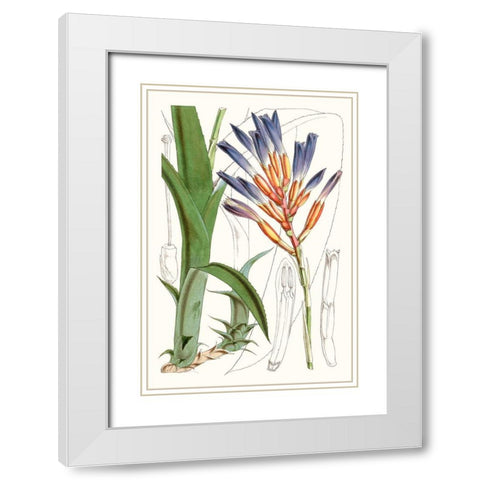 Tropical Plants I White Modern Wood Framed Art Print with Double Matting by Curtis