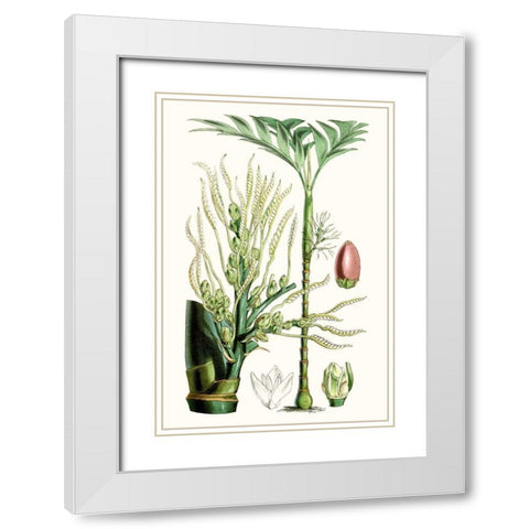 Tropical Plants III White Modern Wood Framed Art Print with Double Matting by Curtis