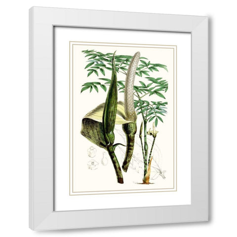 Tropical Plants IV White Modern Wood Framed Art Print with Double Matting by Curtis
