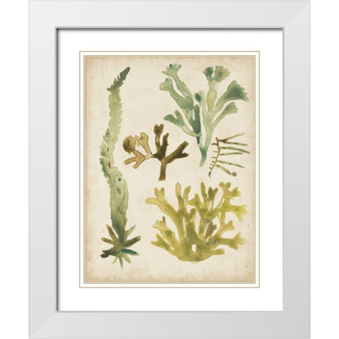 Vintage Sea Fronds I White Modern Wood Framed Art Print with Double Matting by Vess, June Erica