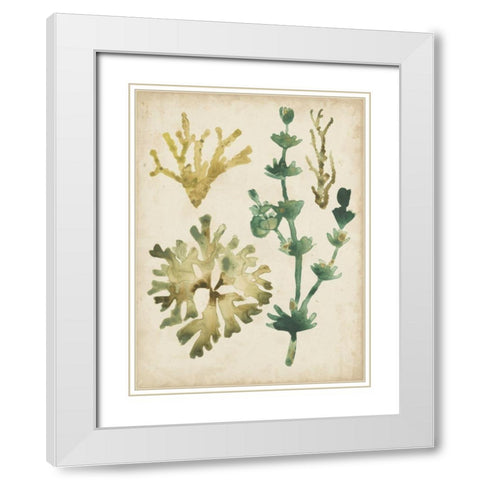 Vintage Sea Fronds II White Modern Wood Framed Art Print with Double Matting by Vess, June Erica