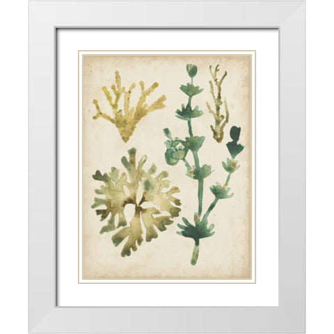 Vintage Sea Fronds II White Modern Wood Framed Art Print with Double Matting by Vess, June Erica