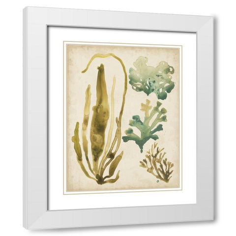 Vintage Sea Fronds III White Modern Wood Framed Art Print with Double Matting by Vess, June Erica
