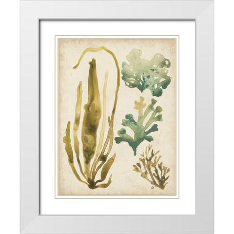 Vintage Sea Fronds III White Modern Wood Framed Art Print with Double Matting by Vess, June Erica