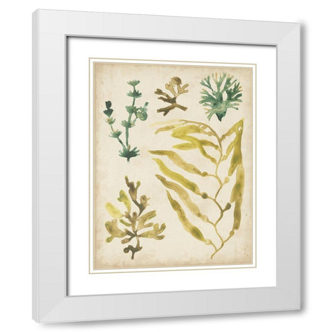 Vintage Sea Fronds IV White Modern Wood Framed Art Print with Double Matting by Vess, June Erica
