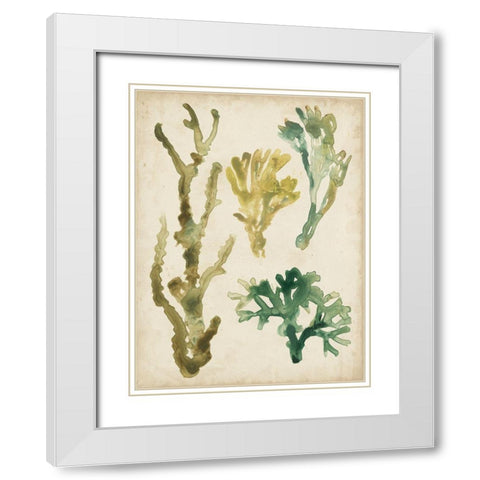 Vintage Sea Fronds V White Modern Wood Framed Art Print with Double Matting by Vess, June Erica