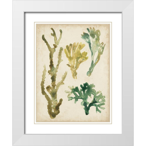 Vintage Sea Fronds V White Modern Wood Framed Art Print with Double Matting by Vess, June Erica