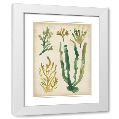 Vintage Sea Fronds VI White Modern Wood Framed Art Print with Double Matting by Vess, June Erica