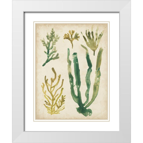 Vintage Sea Fronds VI White Modern Wood Framed Art Print with Double Matting by Vess, June Erica