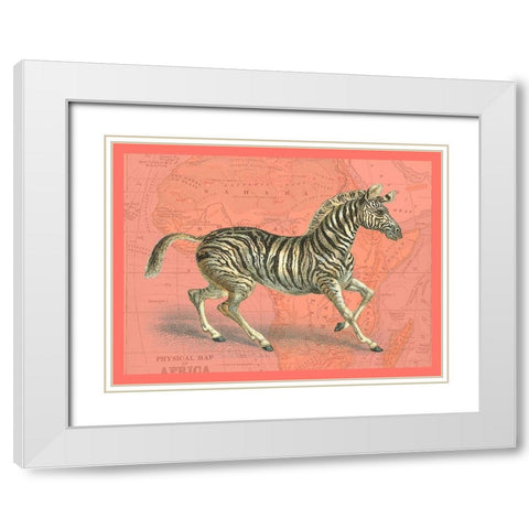 African Animals on Coral III White Modern Wood Framed Art Print with Double Matting by Studio W