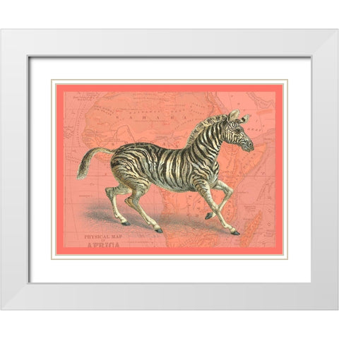 African Animals on Coral III White Modern Wood Framed Art Print with Double Matting by Studio W