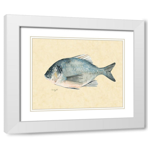 Catch of the Day I White Modern Wood Framed Art Print with Double Matting by Scarvey, Emma