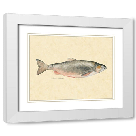 Catch of the Day II White Modern Wood Framed Art Print with Double Matting by Scarvey, Emma