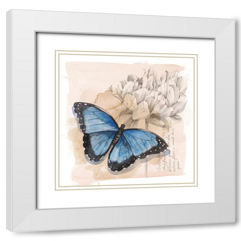 Shadow Box Butterfly II White Modern Wood Framed Art Print with Double Matting by Popp, Grace