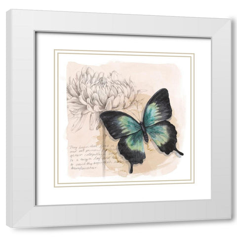 Shadow Box Butterfly III White Modern Wood Framed Art Print with Double Matting by Popp, Grace