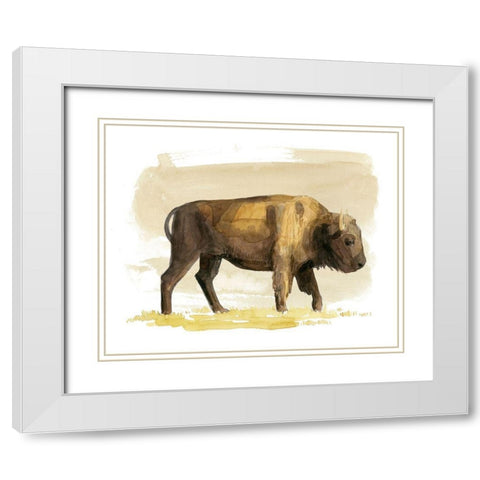 Bison Watercolor Sketch I White Modern Wood Framed Art Print with Double Matting by Popp, Grace
