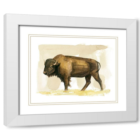 Bison Watercolor Sketch II White Modern Wood Framed Art Print with Double Matting by Popp, Grace