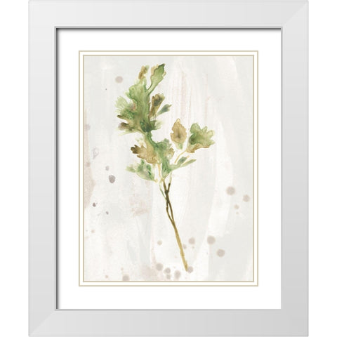 Antique Earthtone Herbs I White Modern Wood Framed Art Print with Double Matting by Vess, June Erica