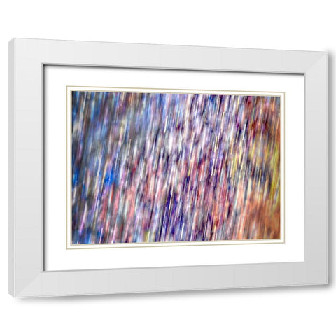 Bohemian Spirits II White Modern Wood Framed Art Print with Double Matting by Bane, Eva