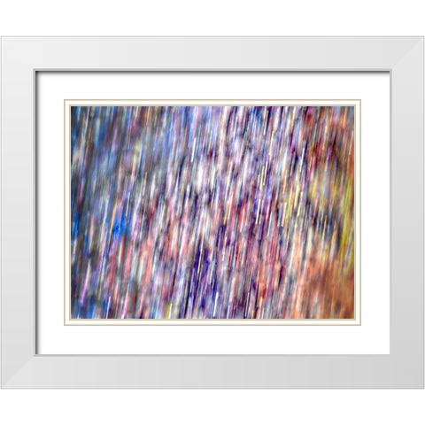 Bohemian Spirits II White Modern Wood Framed Art Print with Double Matting by Bane, Eva