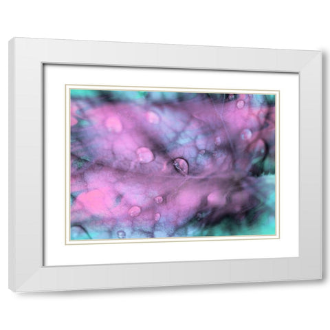 Celestial Dew Drops I White Modern Wood Framed Art Print with Double Matting by Bane, Eva