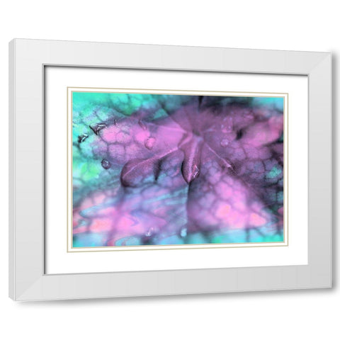 Celestial Dew Drops II White Modern Wood Framed Art Print with Double Matting by Bane, Eva